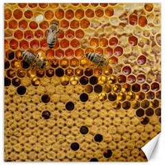 Top View Honeycomb Canvas 16  X 16  by Vaneshart