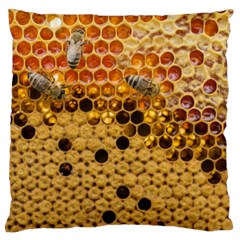 Top View Honeycomb Large Cushion Case (one Side) by Vaneshart