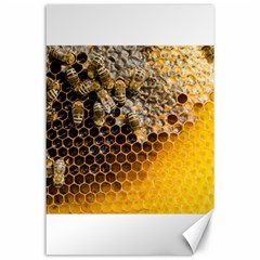 Honeycomb With Bees Canvas 24  X 36  by Vaneshart