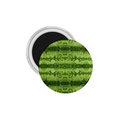 Watermelon Pattern, Fruit Skin In Green Colors 1 75  Magnets by Casemiro