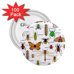 Insects Seamless Pattern 2 25  Buttons (100 Pack)  by Vaneshart