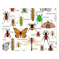 Insects Seamless Pattern Double Sided Flano Blanket (large)  by Vaneshart