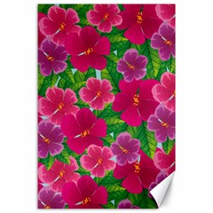 Background Cute Flowers Fuchsia With Leaves Canvas 24  X 36  by BangZart