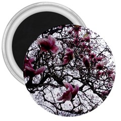 Saucer Magnolia Tree 3  Magnets by okhismakingart