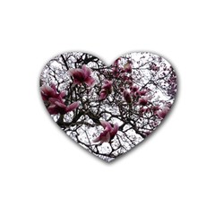 Saucer Magnolia Tree Heart Coaster (4 Pack)  by okhismakingart