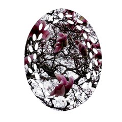 Saucer Magnolia Tree Ornament (oval Filigree) by okhismakingart