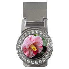 Striped Pink Camellia Ii Money Clips (cz)  by okhismakingart