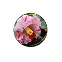 Striped Pink Camellia Ii Hat Clip Ball Marker (10 Pack) by okhismakingart