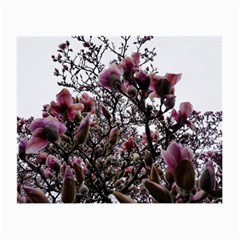 Saucer Magnolia Tree Ii Small Glasses Cloth by okhismakingart