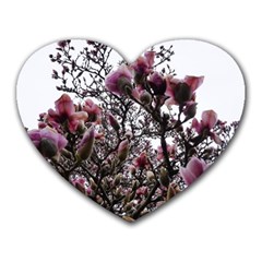 Saucer Magnolia Tree Ii Heart Mousepads by okhismakingart