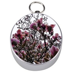 Saucer Magnolia Tree Ii Silver Compasses by okhismakingart