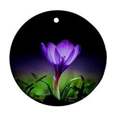 Flower Round Ornament (two Sides) by Sparkle