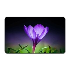 Floral Nature Magnet (rectangular) by Sparkle