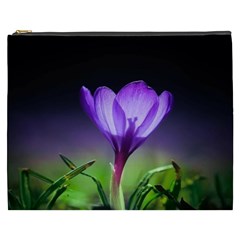 Floral Nature Cosmetic Bag (xxxl) by Sparkle