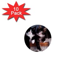 Cats Brothers 1  Mini Buttons (10 Pack) 