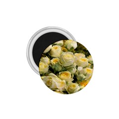 Yellow Roses 1 75  Magnets by Sparkle