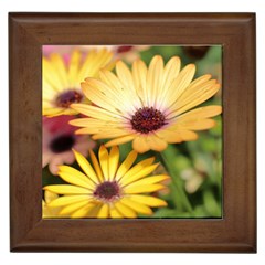 Yellow Flowers Framed Tile