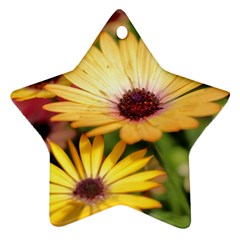 Yellow Flowers Ornament (Star)