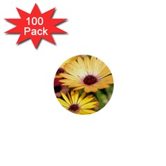 Yellow Flowers 1  Mini Buttons (100 pack) 