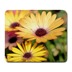 Yellow Flowers Large Mousepads