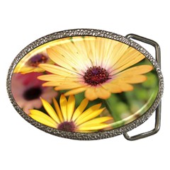 Yellow Flowers Belt Buckles