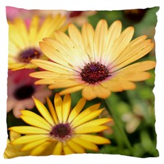 Yellow Flowers Large Cushion Case (Two Sides)