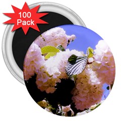 Pink Snowball Branch 3  Magnets (100 pack)