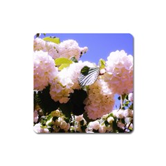 Pink Snowball Branch Square Magnet