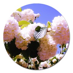 Pink Snowball Branch Magnet 5  (Round)