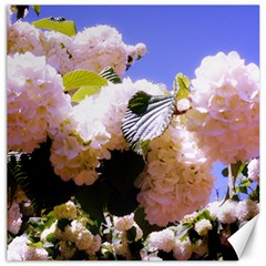 Pink Snowball Branch Canvas 12  x 12 