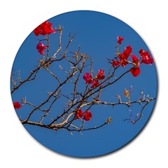 Santa Rita Flower Photo001 Round Mousepads