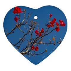 Santa Rita Flower Photo001 Ornament (Heart)