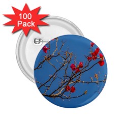 Santa Rita Flower Photo001 2.25  Buttons (100 pack) 