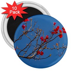 Santa Rita Flower Photo001 3  Magnets (10 pack) 