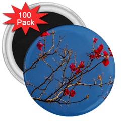 Santa Rita Flower Photo001 3  Magnets (100 pack)