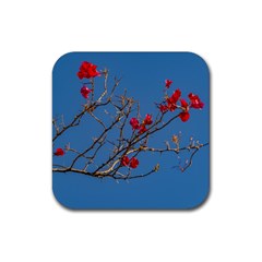 Santa Rita Flower Photo001 Rubber Coaster (square)  by dflcprintsclothing