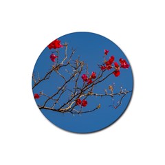 Santa Rita Flower Photo001 Rubber Round Coaster (4 pack) 