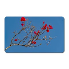 Santa Rita Flower Photo001 Magnet (Rectangular)