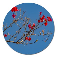 Santa Rita Flower Photo001 Magnet 5  (Round)