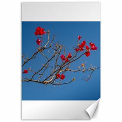 Santa Rita Flower Photo001 Canvas 24  x 36 