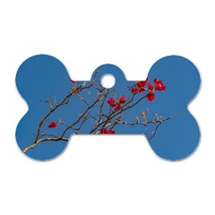 Santa Rita Flower Photo001 Dog Tag Bone (Two Sides)