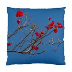 Santa Rita Flower Photo001 Standard Cushion Case (Two Sides) Front