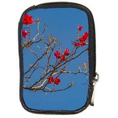 Santa Rita Flower Photo001 Compact Camera Leather Case