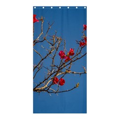 Santa Rita Flower Photo001 Shower Curtain 36  x 72  (Stall) 