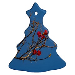 Santa Rita Flower Photo001 Ornament (Christmas Tree) 