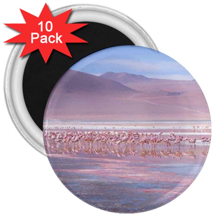 Bolivia-gettyimages-613059692 3  Magnets (10 pack) 