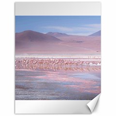 Bolivia-gettyimages-613059692 Canvas 12  X 16  by Trendshop