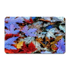 Rainbow Season Magnet (Rectangular)