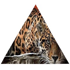 Nature With Tiger Wooden Puzzle Triangle by Sparkle