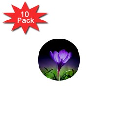 Flower 1  Mini Buttons (10 Pack) 